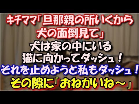 【スカッとする話】 キチママ「旦那親の所いくから犬の面倒見て」スルッとリードを離し犬は家の中にいる猫に向かってダッシュ！それを止めようと私もダッシュ！その隙に「おねがいね～」 スカッと修羅場ラバンダ