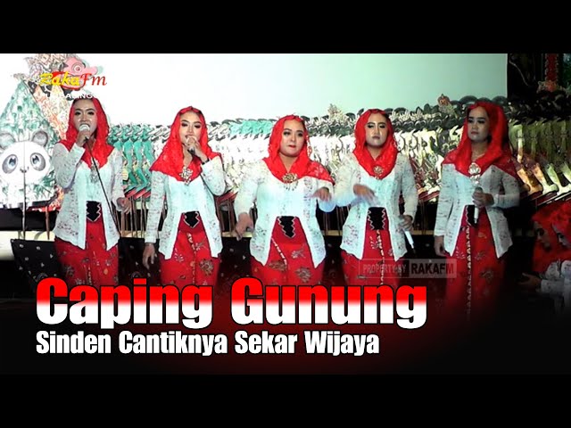 Mantap CAPING GUNUNG Cover All Sinden Sekar Wijaya Dalang Ki Ulinnuha Cilacap class=
