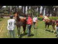 APPE Final del Campeonato Nacional de Endurance Ecuestre 2016