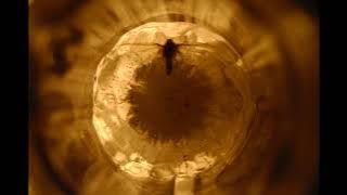 Imanuel Kiehm - Mother - Home Concert 2021