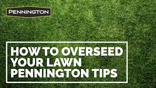 Tips from Pennington for Seeding or Overseeding Your Lawn