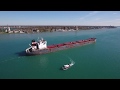 5 ship bonanza - Detroit River - 5.1.20