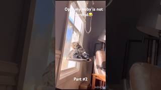 Opss, My Boby Is Not Control