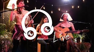 Vay Vay - Shahram Shabpareh Cover - Les Floxs Audiography Live