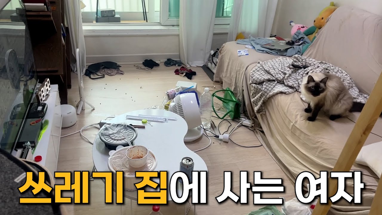 취업에 실패하고 신용불량자가 된 31살 여자의 삶