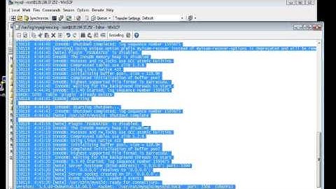 Vesta CP Mysql Error -ibdata1 error: 11