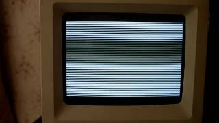 Recapped Macintosh SE/30, Chime & Lines at Cold Boot