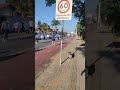 Luna na Corrida General Salgado!! #shorts #esports #viral #pets #dachshund #dog #animals
