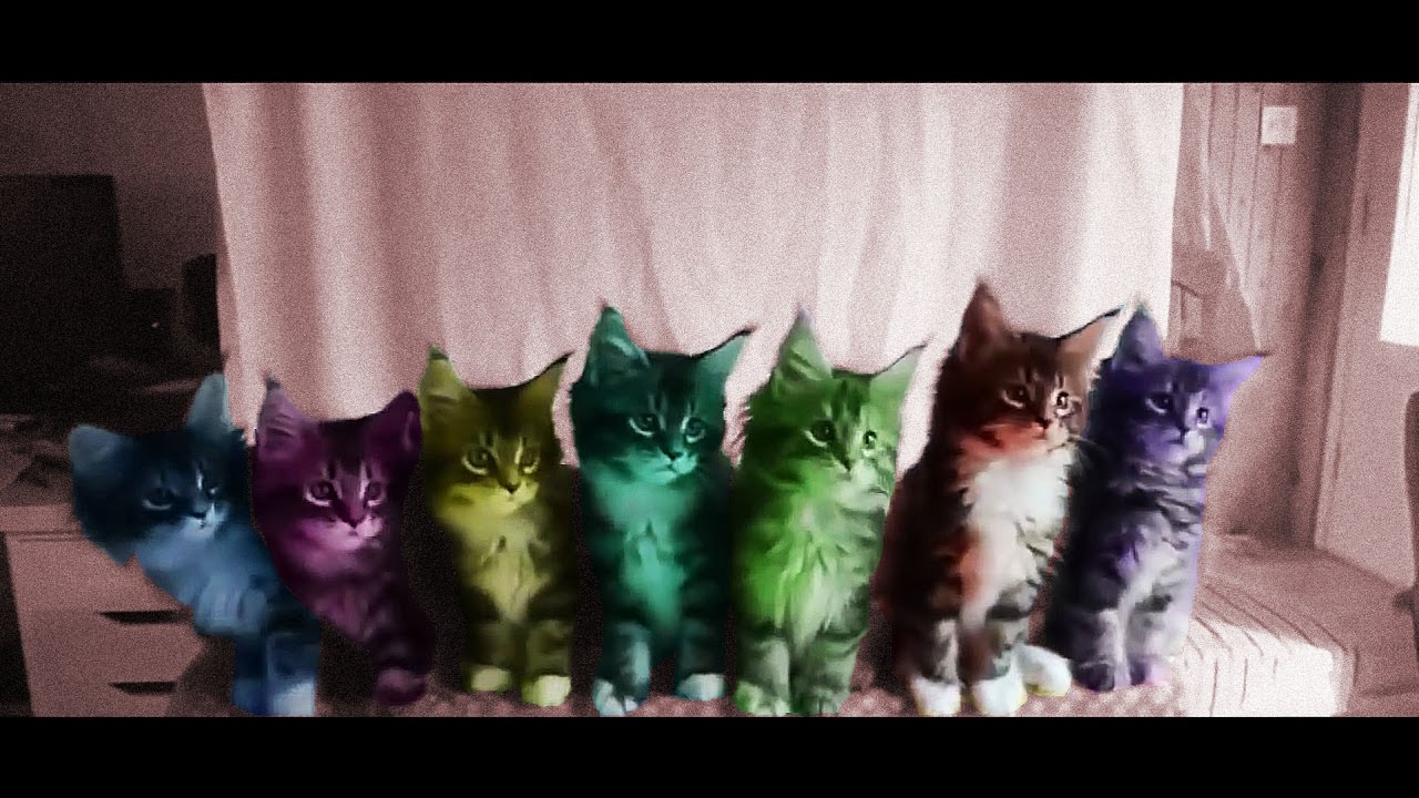 Смешные коты 13 (Funny Cats Compilation 2016)