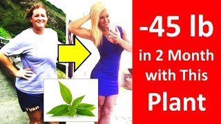 How to Lose Weight in 2 Months at Home without Exercise - Lose Weight Fast with Matcha Tea