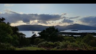 Inchcailloch / Island on Loch Lomond (Scotland, August 2023)