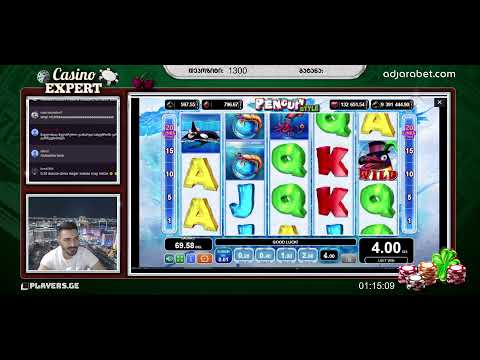 Casino EXPERT  - თასის ფინალები