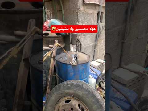 عندما تكون مشيش وصاحب ورشه اليمن الامارات قطر الكويت عمان عمان مصر الجزائر ليبيا المغرب تونس