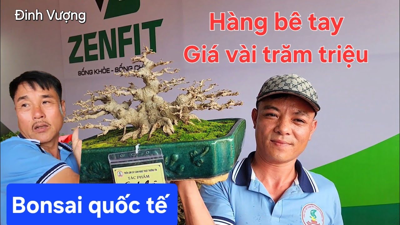 Mãn nhãn giàn bonsai để bàn ở triển lãm Thường Tín có giá vài trăm triệu