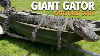 Face to Face with a Giant Louisiana Alligator (Catch and Cook)