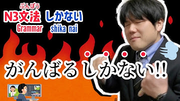 【しかない shika nai】N3 Grammar #1 日本語N3文法
