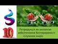 Репродукція як механізм забезпечення безперервності існування видів