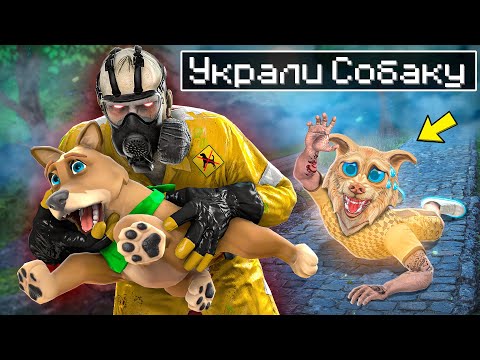 Мою Собаку Украли В Гта 5 ! Я Спас Снежка ! - Спасение Щенка В Gta 5