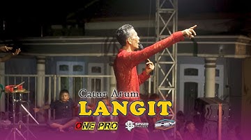 CATUR ARUM - LANGIT || ONE PRO (Live Pesanggaran  )