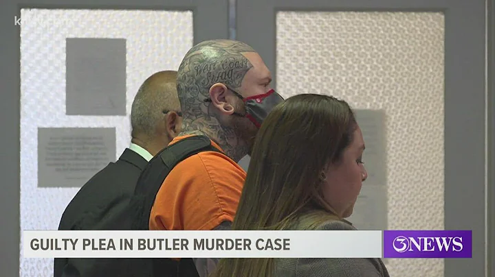Adam Williams pleads guilty to the murders of Jame...