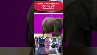 How to remove an image background in PowerPoint