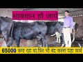 माँ डेरी फार्म फुलवारी पटना बिहार Maa Dairy Farm Fulwari Patna Bihar