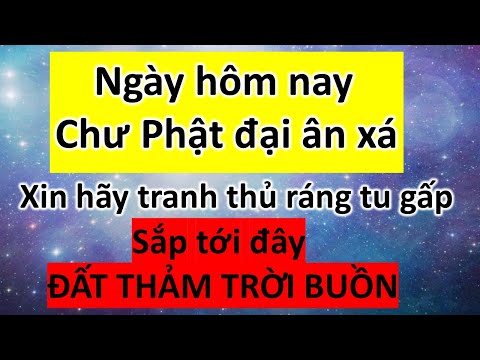 Video Thầy Bần Sĩ | Ngày hôm nay, Chư Phật đại ÂN XÁ, xin... - youtube
