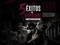 5 golpes que no todo el mundo aguanta 💣🔥⚠️ #musica #despertar #flamenco
