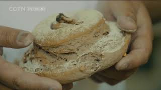 Жизнь в Тибете Серия 4 На пути к мечте Жизнь в Тибете Серия 4 На пути к мечте
