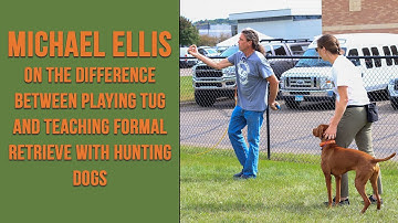 Michael Ellis over het verschil tussen touwtrekken en het aanleren van formeel apporteren met jac...