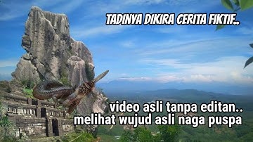 inilah wujud asli naga puspa | yang gak kuat jangan nonton...