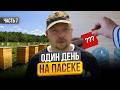Сбежал с Офиса на Пасеку! Что из этого Вышло? Строю Пасеку с Нуля |Серия 7
