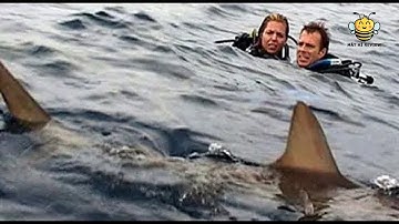 Tóm Tắt Phim : TRÔI DẠT 2 - OPEN WATER  | Mắt Hí Review