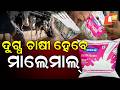 ବଢିଲା କ୍ଷୀର ଦର Milk Price Increased by OMFED #otvdigital #otv #odishatv #omfed