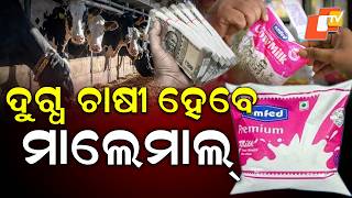ବଢିଲା କ୍ଷୀର ଦର Milk Price Increased by OMFED #otvdigital #otv #odishatv #omfed