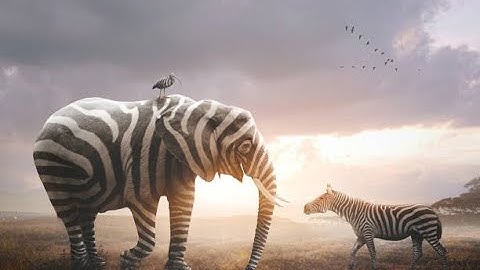 PM 6:06 Modespice Extra++ /|\ Zone 1: "Simplicity"