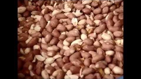 Peanut Peeling machine 2 Piece MPG