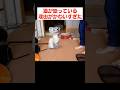 飼い主に構ってもらいたい猫の行動がこちら
