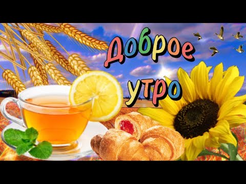 Доброе Утречко, Отличного Настроения И Позитивных Эмоций 😉Музыкальная Открытка С Добрым Утром☕️