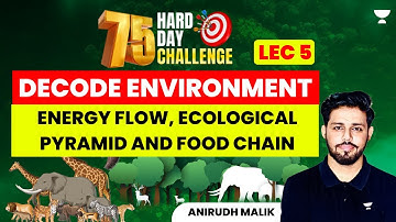 Lecture 5 | Energy Flow, Ecological Pyramid and Food Chain | Environment Series | Anirudh Malik