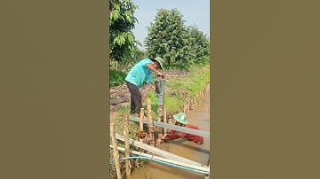 đóng cọc bờ kè vườn sầu riêng #garden