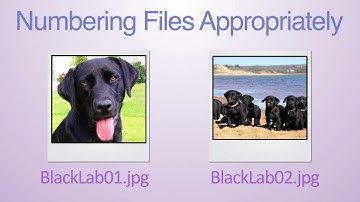 Basic Principles of Naming Files: Part 2