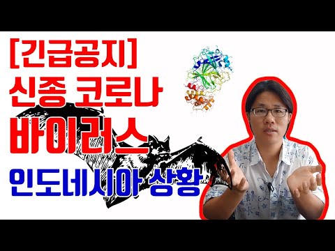 긴급 신종 코로나 바이러스 인도네시아 상황 ㅣ 발리 여행오시는 분들 참고하세요 