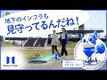 ミライト・ワンのお散歩ルーティーン(字幕あり)
