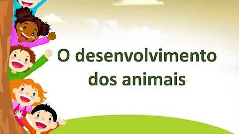 Como podemos caracterizar os animais?