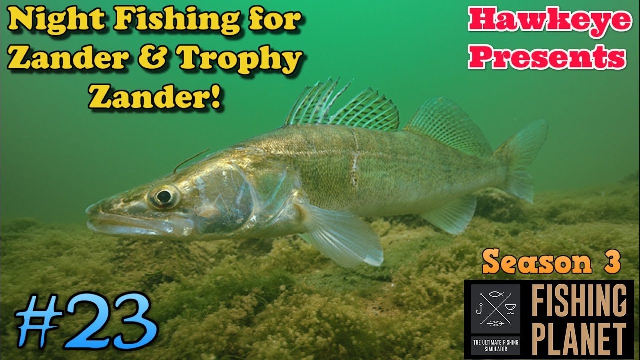 Fishing 23 S3 Night Fishing for Zander and Trophy Zander! YouTube