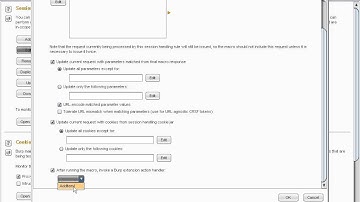 BurpCSJ extension and JUnit integration