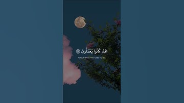 تلاوة هادئة تريح الأعصاب😴🎧 القارئ: هزاع البلوشى سورة: الحجر 💙❤