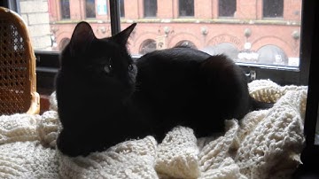 Archivematica 0.10-beta Screencast