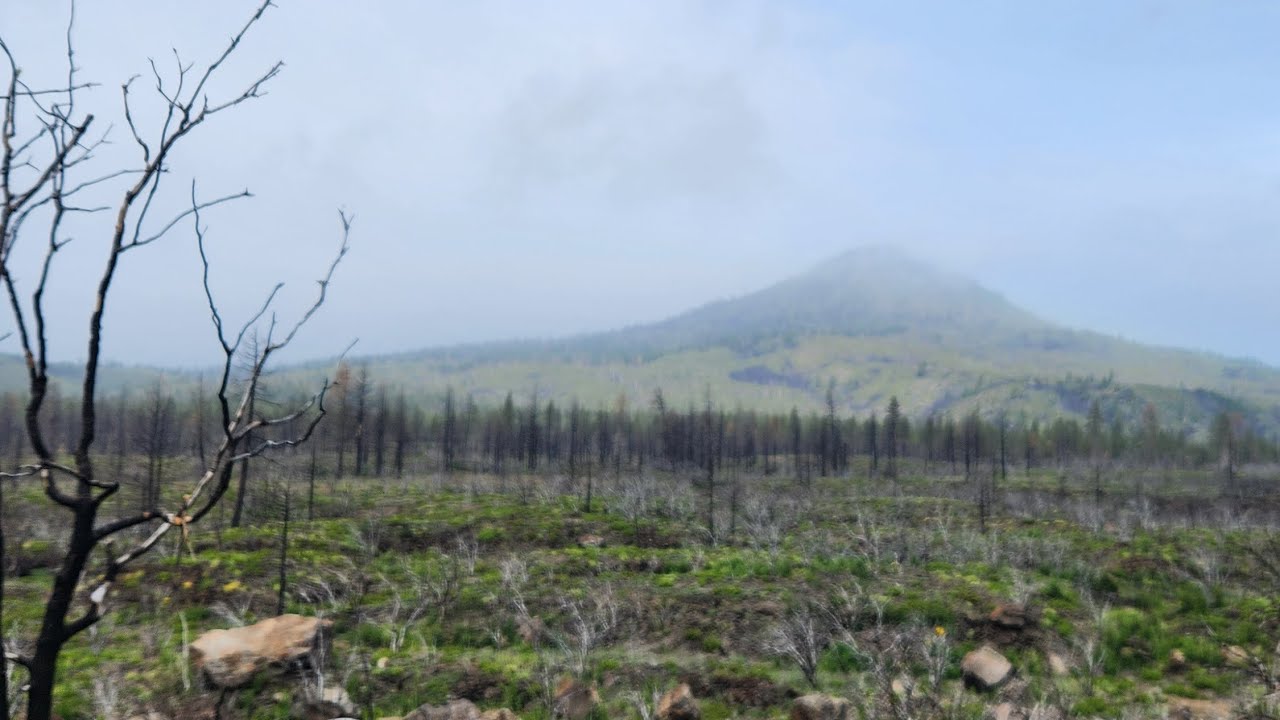 Sigh..... the Prosperity of decay.  Jesus can bring a change for you.         Genesis 6.5-13